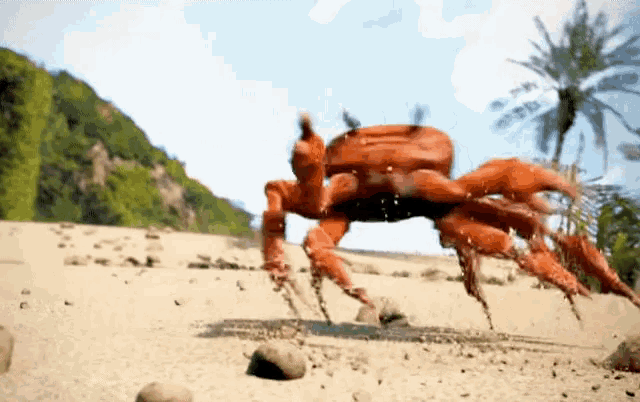 A dancing crab
